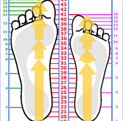   Таблица размеров обуви